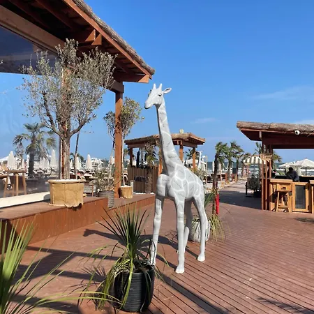 Acrima 108 Mamaia Nord *